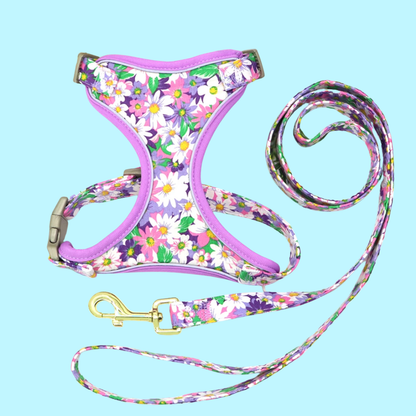 Blumiges Hundegeschirr - atmungsaktiv und reflektierend