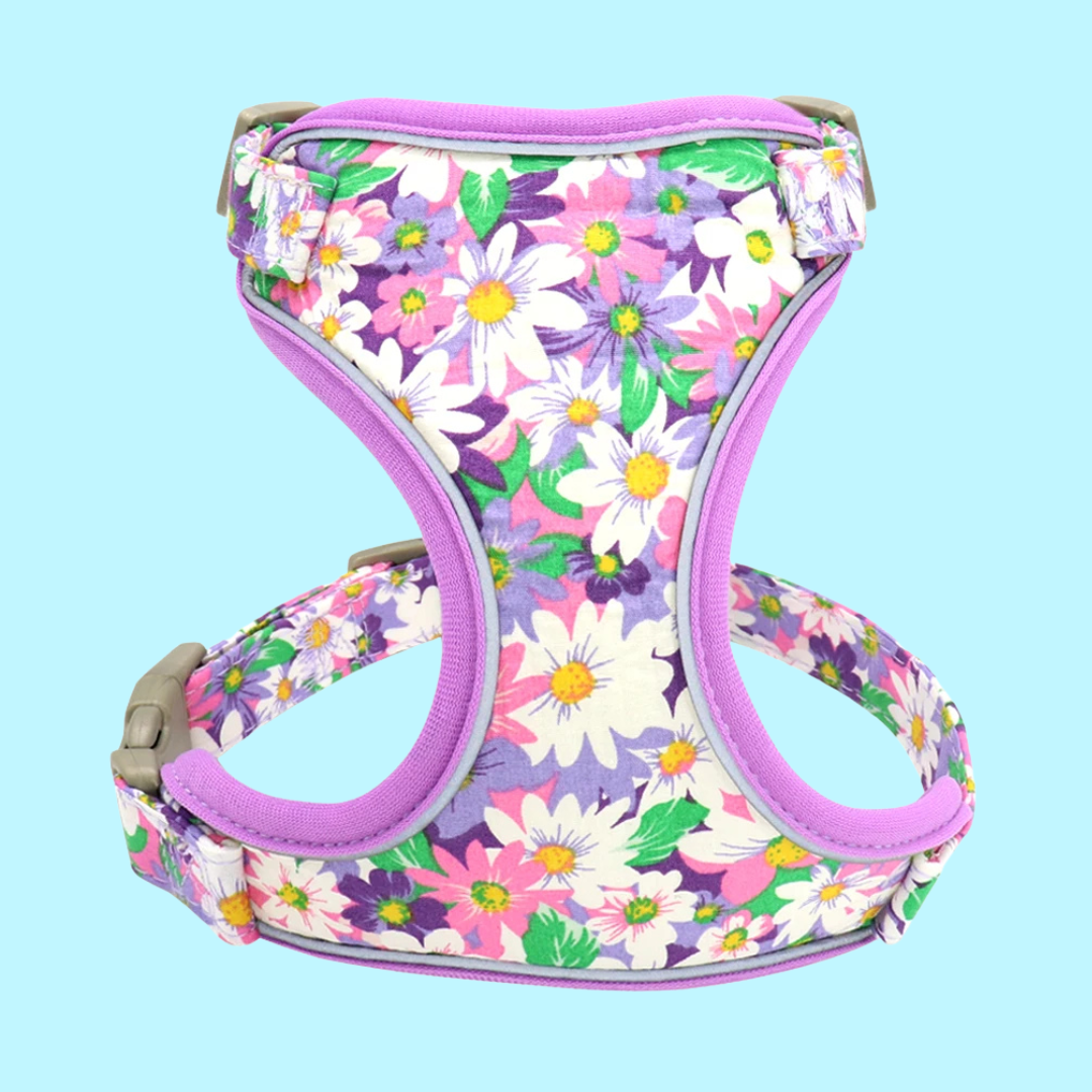 Blumiges Hundegeschirr - atmungsaktiv und reflektierend