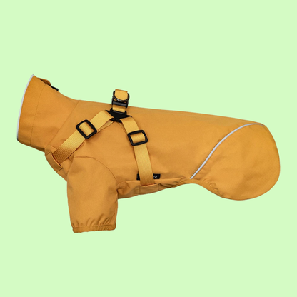 Premium Hunde-Regenmantel mit integriertem Geschirr - wasserabweisend, winddicht & reflektierend