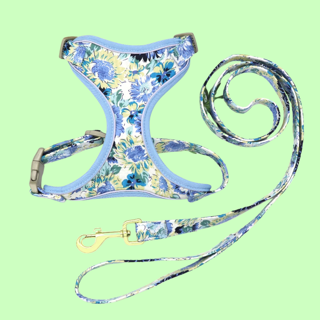 Blumiges Hundegeschirr - atmungsaktiv und reflektierend