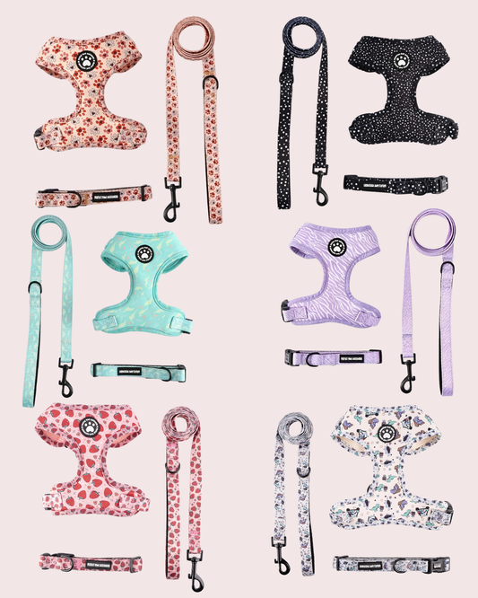3 in 1 Hundegeschirr Set - Geschirr, Halsband und Leine