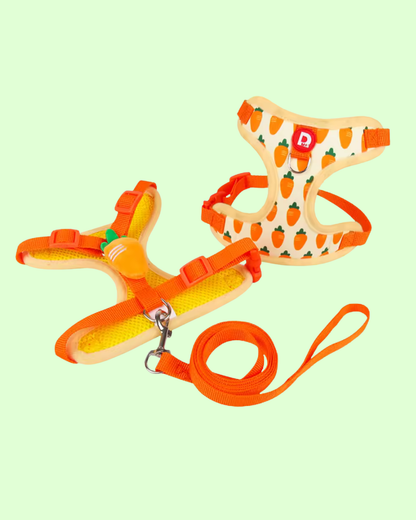 Fruchtiges Anti-Zug Hundegeschirr mit Leine