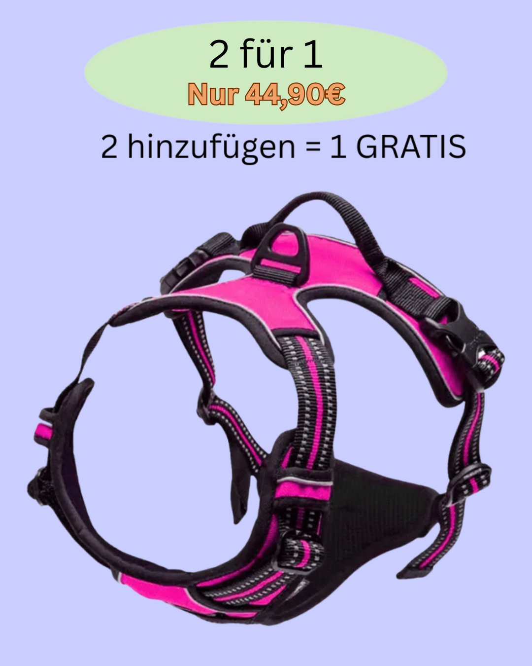 Schluss mit Ziehen an der Leine – Anti-Zug Y-Geschirr mit Brust-Clip