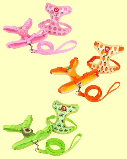 Fruchtiges Anti-Zug Hundegeschirr mit Leine