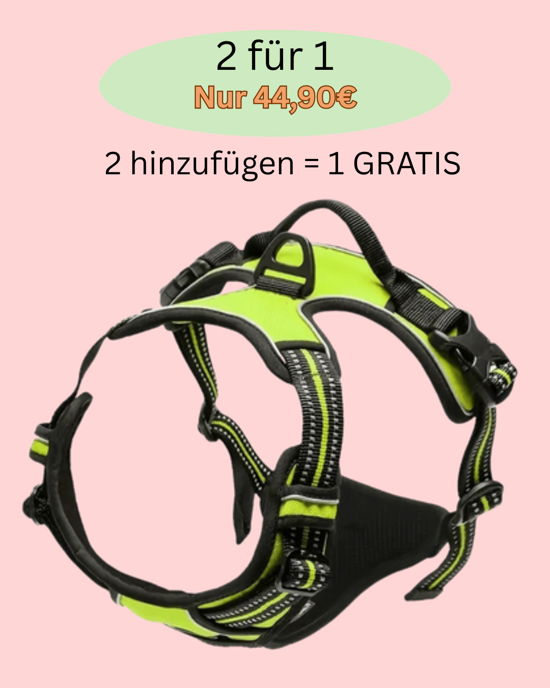Schluss mit Ziehen an der Leine – Anti-Zug Y-Geschirr mit Brust-Clip