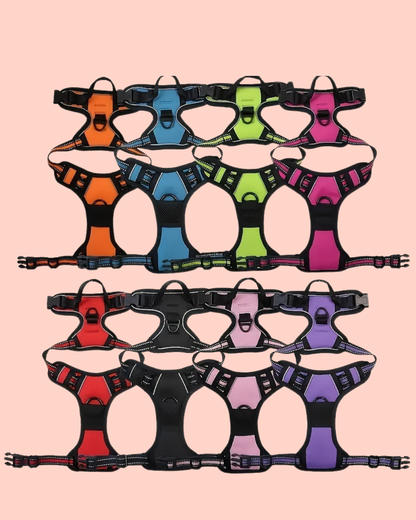 Anti-Zug Y-Geschirr mit Front-Clip – volle Kontrolle ohne Würgen