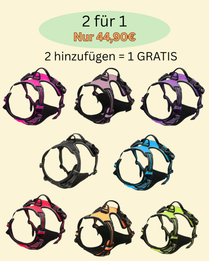 Schluss mit Ziehen an der Leine – Anti-Zug Y-Geschirr mit Brust-Clip