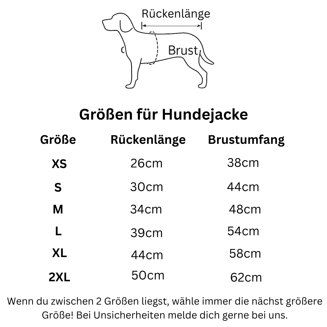 Hunde Wintermantel Christmas - wasserabweisend, warm & mit Leinenring