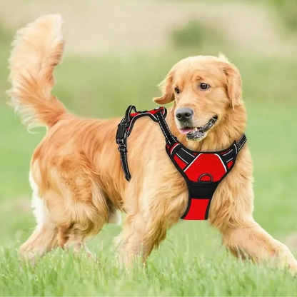 Ergonomisches Y- Hundegeschirr - für frei bewegliche Schultern