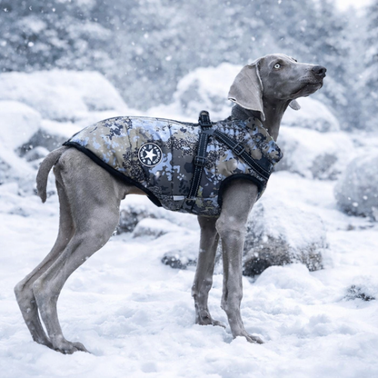 Warmer Premium Hunde-Wintermantel - mit integriertem Geschirr