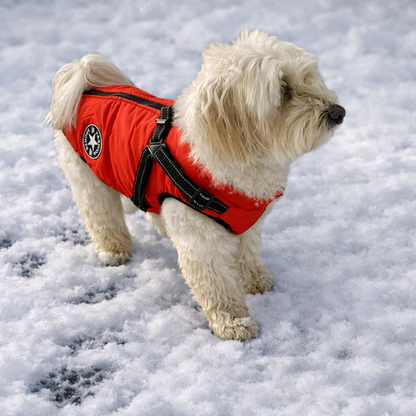 Warmer Premium Hunde-Wintermantel - mit integriertem Geschirr