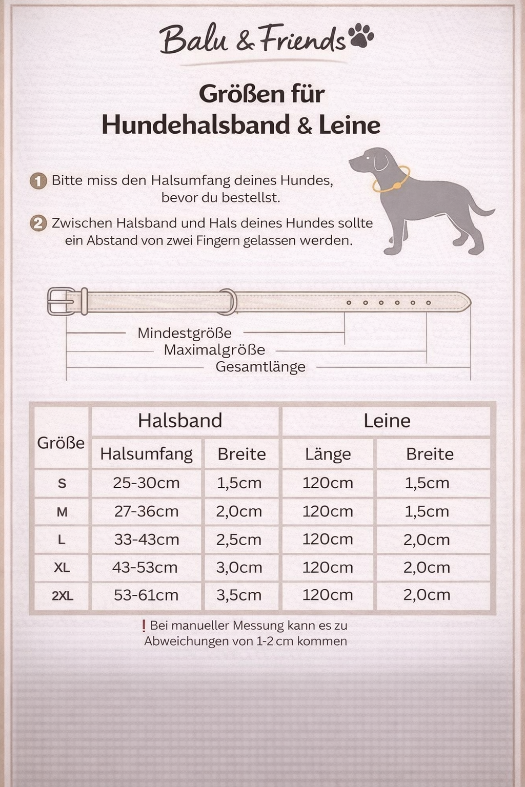 Personalisiertes Hundehalsband – mit Name & Telefonnummer für mehr Sicherheit