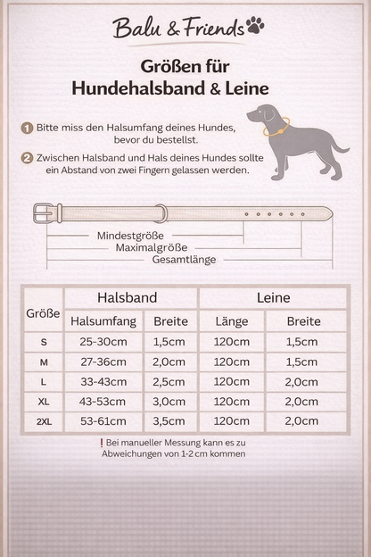 Personalisiertes Hundehalsband – mit Name & Telefonnummer für mehr Sicherheit