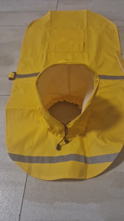 Wasserabweisender Regenmantel - Endlich Schluss mit nassem Fell und Schmutz