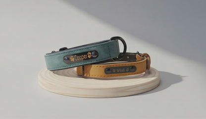 Personalisiertes Hundehalsband – mit Name & Telefonnummer für mehr Sicherheit